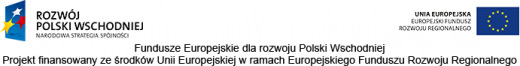 logo, Fundusze Europejskie dla rozwoju Polski Wschodniej Projekt finansowany ze środków Unii Europejskiej w ramach Europejskiego Rozwoju Regionalnego