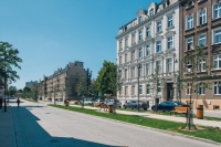 Dolne Miasto w Gdańsku wreszcie się zazieleniło!