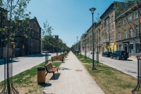 Dolne Miasto w&nbsp;Gdańsku wreszcie się zazieleniło!