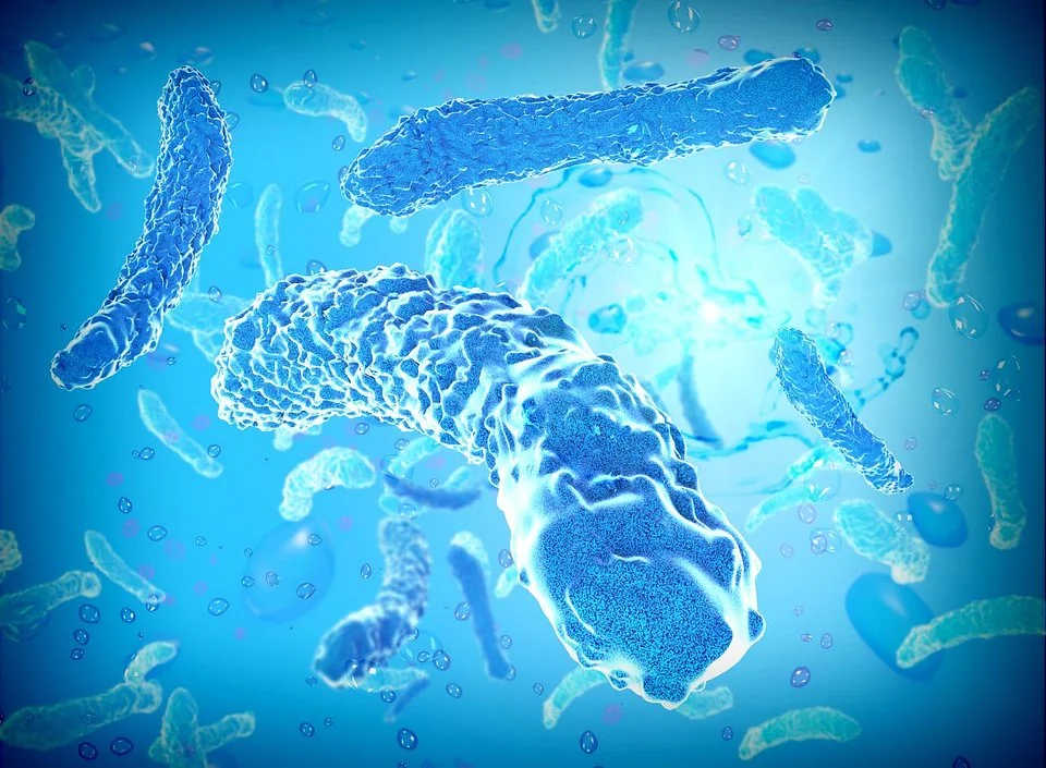 Bakterie Legionella pod mikroskopem / fot. Deposit Photos